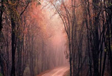 C4D一键复制对象名称脚本代码（原创）