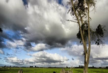 C4D一键复制对象名称脚本代码（原创）