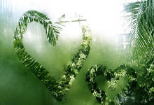 5款C4D产品包装盒纸箱纸盒绑定预设