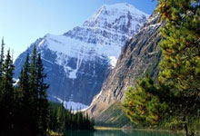 5款C4D产品包装盒纸箱纸盒绑定预设