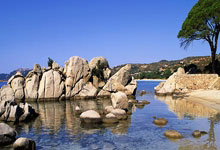 5款C4D产品包装盒纸箱纸盒绑定预设